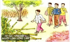 Huong Dan Cam Thu Van Hoc Bai Nguoi Linh Dung Cam Tieng Viet 3