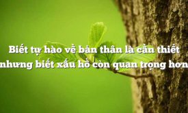 Nghi Luan Ve Y Kien Biet Tu Hao Ve Ban Than La Can Thiet Nhung Biet Xau Ho Con Quan Trong Hon