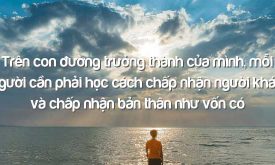 Nghi Luan Ve Y Kien Tren Con Duong Truong Thanh Cua Minh Moi Nguoi Can Phai Hoc Cach Chap Nhan Nguoi Khac Va Chap Nhan Ban Than Nhu Von Co