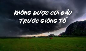 Suy Nghi Cua Anh Chi Ve Cau Noi Doi Phai Trai Qua Giong To Nhung Khong Duoc Cui Dau Truoc Giong To