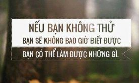 Suy Nghi Ve Cau Noi Thanh Cong Hay That Bai Hom Nay Khong Nam O Nhung Kho Khan Chung Ta Gap Phai Ma La O Cach Chung Ta Duong Dau Voi Chung Nhu The Nao