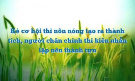 Trinh Bay Suy Nghi Ve Y Kien Ke Co Hoi Thi Non Nong Tao Ra Thanh Tich Nguoi Chan Chinh Thi Kien Nhan Lap Nen Thanh Tuu