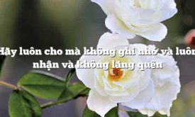 Trinh Bay Y Hieu Ve Cau Noi Hay Luon Cho Ma Khong Ghi Nho Va Luon Nhan Va Khong Lang Quen