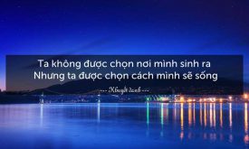 Viet Bai Van Nghi Luan Ve Cau Noi Ta Khong Duoc Chon Noi Minh Sinh Ra Nhung Ta Duoc Chon Cach Minh Se Song