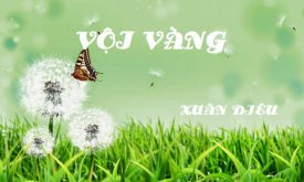 Bai Van Mãu Của Học Sinh Giỏi Ve Bai Tho Vọi Vang Xuan Diẹu